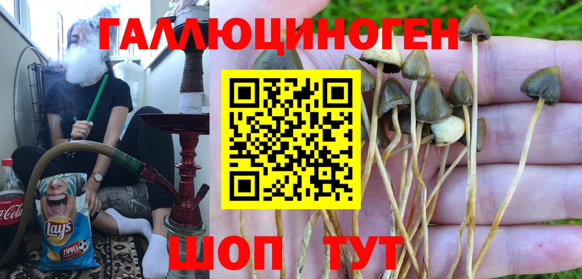 Галлюциногенные грибы мухоморы  Вход с VPN  Минусинск 